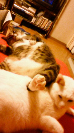 200904052253000.jpg