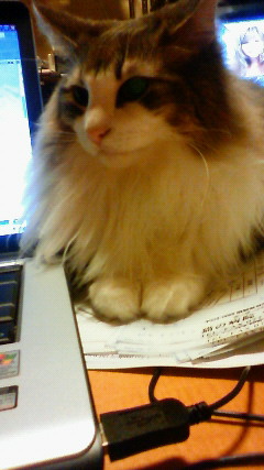 200905270120000.jpg
