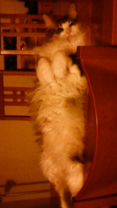 200905272248001.jpg