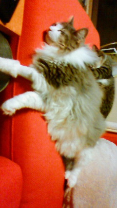 200905272352000.jpg