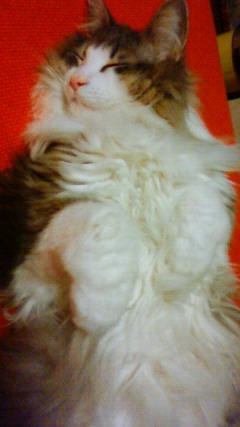 200905280100000.jpg