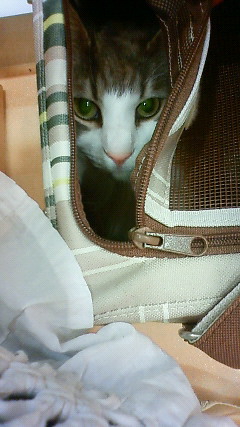 200905292006000.jpg