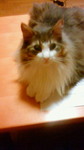 200905292123000.jpg