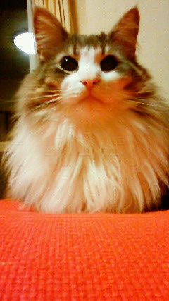 200905292141000.jpg