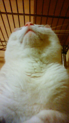 200905302323000.jpg