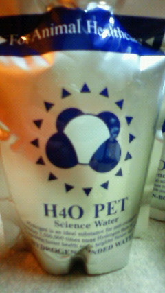 200906042309000.jpg