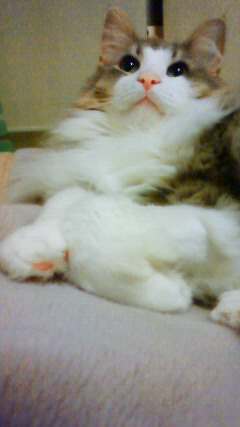 200906042311000.jpg