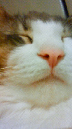 200906042316001.jpg