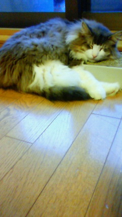 200906081902000.jpg