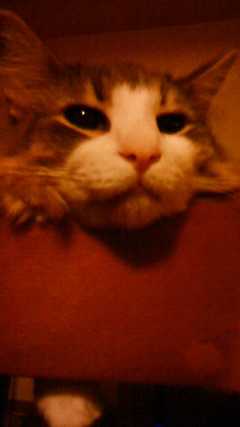 200906090046000.jpg