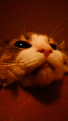200906090047000.jpg