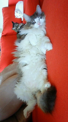 200906101102001.jpg
