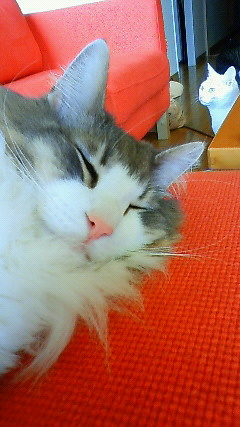 200906101103000.jpg
