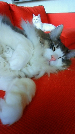 200906101104000.jpg