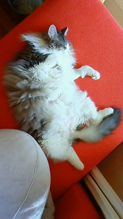 200906101106001.jpg