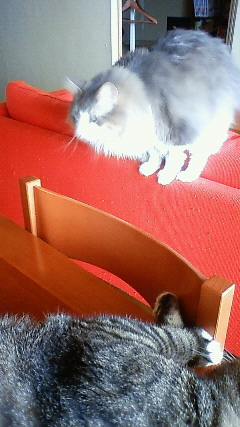 200906130947000.jpg