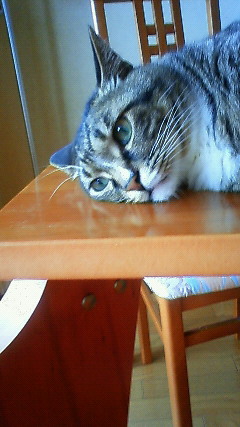 200906130949000.jpg