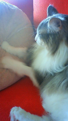 200906130950000.jpg