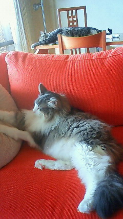 200906130954000.jpg