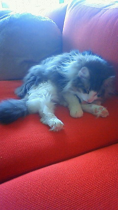 200906131000000.jpg