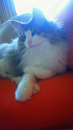 200906131002000.jpg