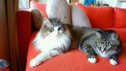 200906181111000.jpg