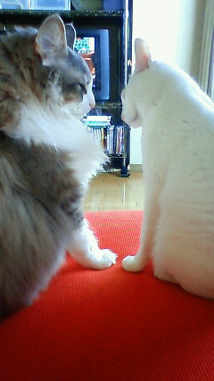 200906250813000.jpg