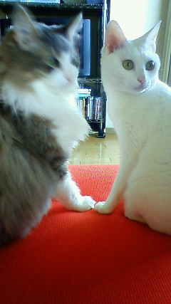 200906250813001.jpg