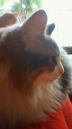 200906250815000.jpg