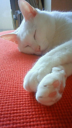 200906250854000.jpg