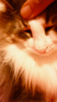 200907092029000.jpg
