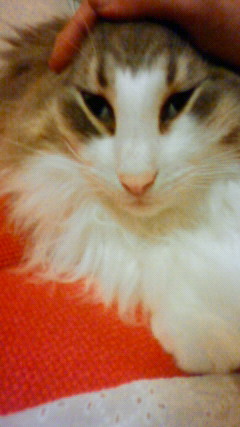 200907092030000.jpg