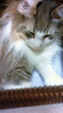 200907102029000.jpg