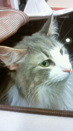 200907102030000.jpg