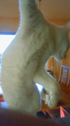 200908241755000.jpg