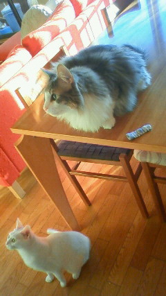 200908241758000.jpg