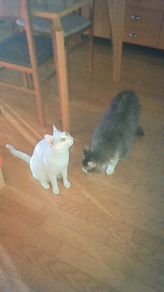 200908241800000.jpg