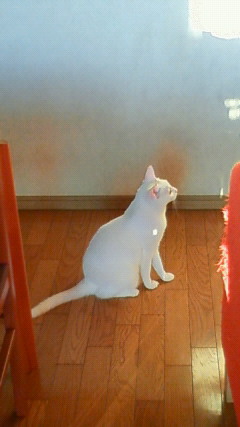 200908241803000.jpg