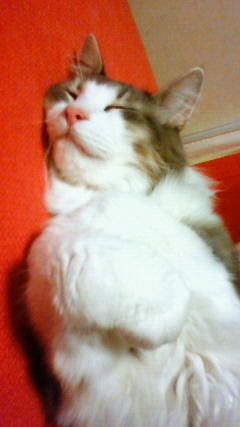 200909142150001.jpg