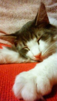 200910090156000.jpg