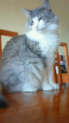 200910191427000.jpg