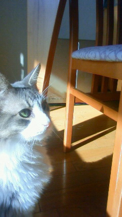 200910191428000.jpg