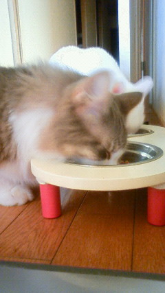 200910191623000.jpg