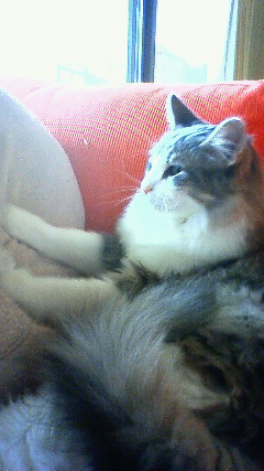 200910261141000.jpg