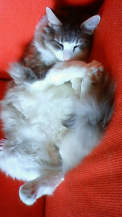 200910261347000.jpg