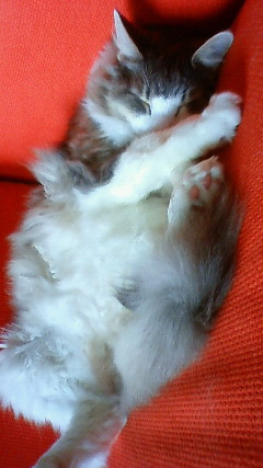 200910261348000.jpg