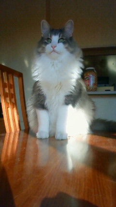200911301448000.jpg