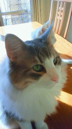 200911301457001.jpg