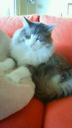 200911301512000.jpg