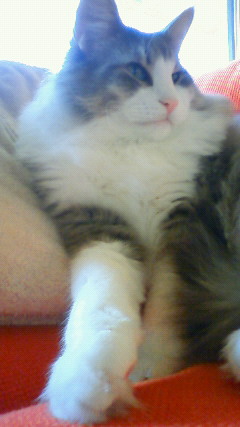 200911301513000.jpg